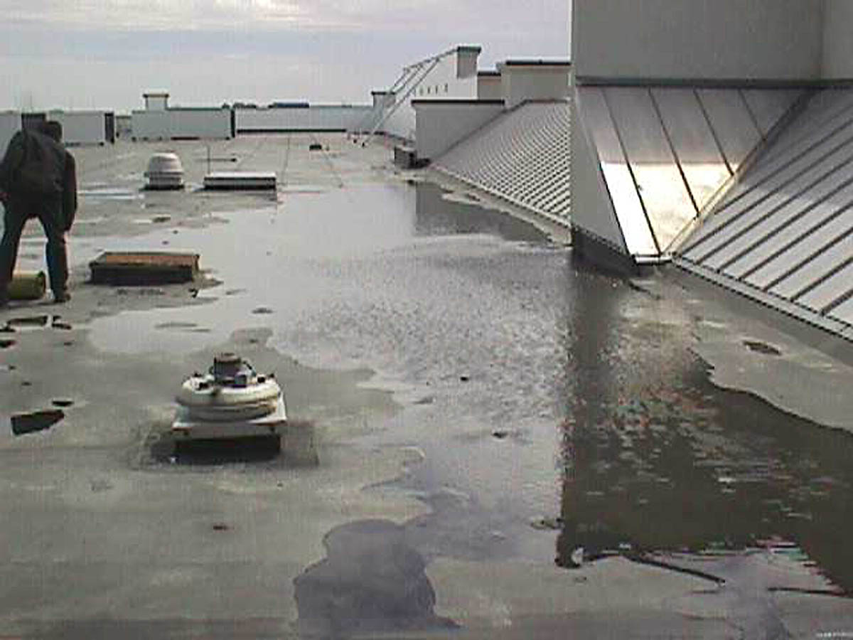 Ponding 2